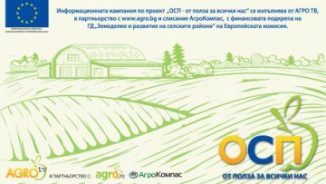 ОСП – ОТ ПОЛЗА ЗА ВСИЧКИ НАС