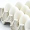0816Eggs_SC