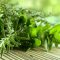 10061787herbs