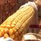 10069829corn