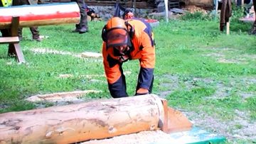 10559593Novina_plius_25_05