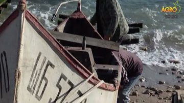 10584890novina_plius_7_07