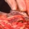 Новина плюс: Български колбаси – без конкуренция в Европа, Автори: К. Карадочева, М. Спасова