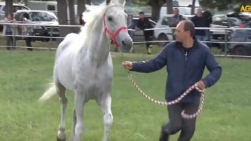 11193628kone_bg_