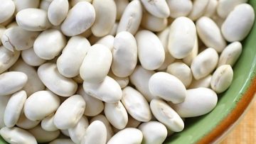 11330170bean