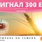 11336799Signal-300es-Adv_800x522_px