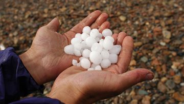 11568967hails-hands