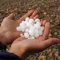 11568967hails-hands