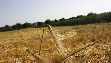 1166488731308390_MG_6305