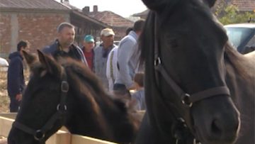 12033596novina_plius_29_01_2019
