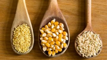 12082891gluten-free-diet