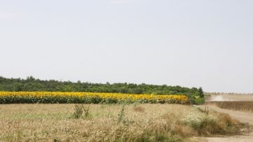 12319313_MG_5995