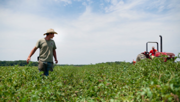 12359439young-farmer-2-508×325