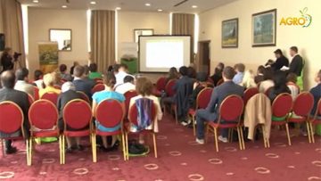 13185509agrarikonomisti