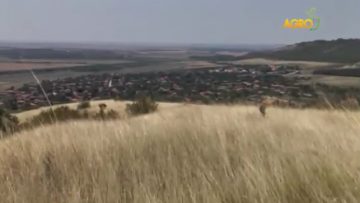 13217845zemedelie_Bulgaria