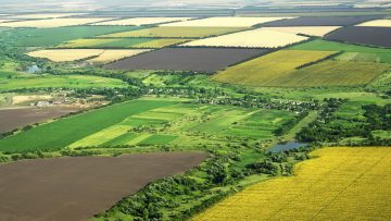 13248816ROMANIAN_AGRICULTURE_field_top_view_97763866_03