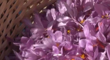 1366190625012ecca52237e0520a4f35fc26dfb4c25b056d