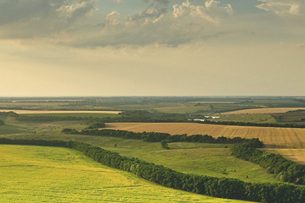 1376046field