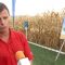 Изгодни оферти от БАСФ за настоящата есенна кампания