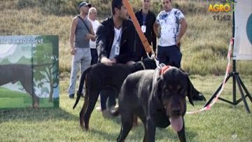 14414658DRKUNEV_5_11_2017
