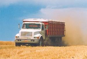 14574190WheatTruck
