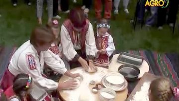 14858691hliab_na_mira