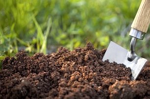 Soil with a garden trowel