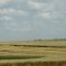 15166234_MG_6445
