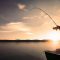 Fishing concepts.