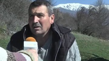 15736614kocherinovo444