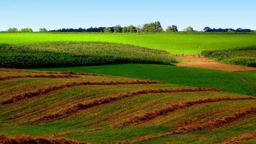 16563752farmfield
