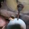 16926288rakia_333
