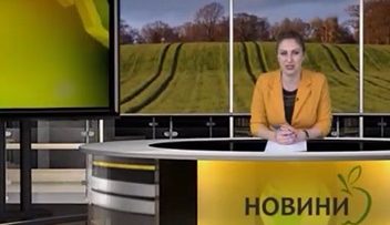 17164981news