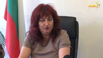 17448388agrotema_23_07