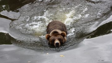 1830375Copy_of_IMG_3396