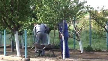 18595027zemedelie_osigurovki
