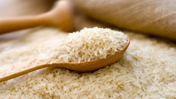 19160680rice