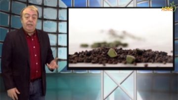 19277853kardamon_9393