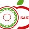 19304636babh-logo