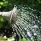 19413319watering