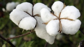 19946715id-100258471