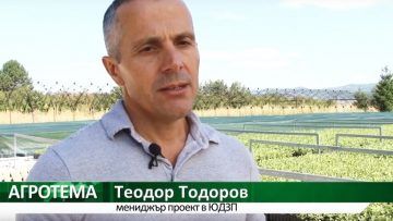 19968319agrotema_petq