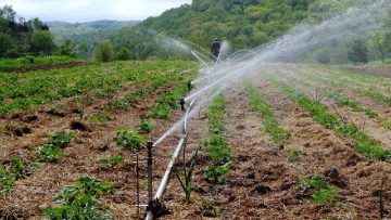 2062230dsc01995-copy-2-e1377718235518