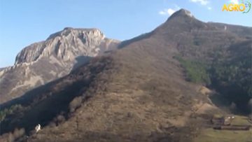 20850175GVRBLG_12_08_2018