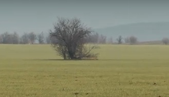 2111791agrotema