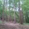 21764384vitosha