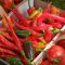 22006499tomatoes-and-peppers