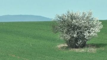 22187724agrotema