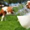 23052602milk_4