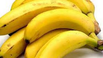 23546432banani2